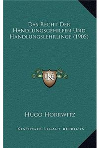 Das Recht Der Handlungsgehilfen Und Handlungslehrlinge (1905)