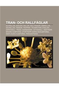 Tran- Och Rallfaglar