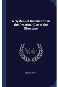 A System of Instruction in the Practical Use of the Blowpipe