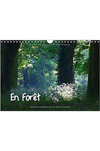 Foret 2017
