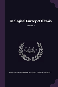 Geological Survey of Illinois; Volume 4