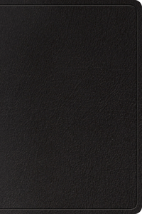 ESV Super Giant Print Bible