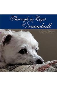Through the Eyes of Snowball