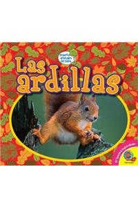 Ardillas