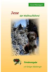 Jesse der Weihnachtshund