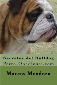 Secretos del Bulldog