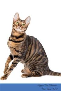 Toyger Cat Presents: Cat Facts Workbook. Toyger Cat Presents Cat Facts Workbook with Self Therapy, Journalling, Productivity Tracker with Self Therapy, Journalling, Productivity Tracker Workbook. Includes: Space for Notes, to Do Lists, Brainstorms.