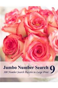 Jumbo Number Search 9