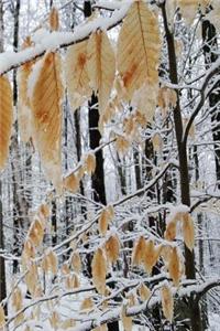 Winter Journal Snowy Forest Branch