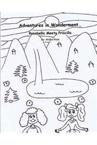 Adventures in Wonderment