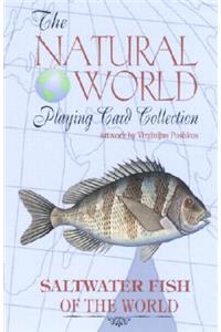 Saltwater Fish of the World Card Game