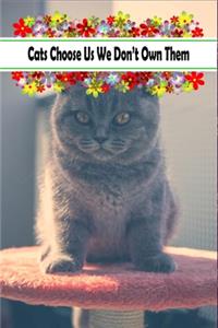 Cats Choose Us We Don't Own Them