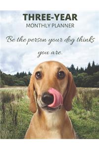 Three Year Monthly Planner Starting 2020 Agenda with Weekly Plan Space - Best Gift For Dog Owner - Funny Vizsla Appointment Book for 2021 & 2022