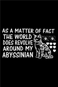 As a Matter of Fact the World Does Revolve Around My Abyssinian