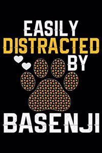 Easily Distracted by Basenji