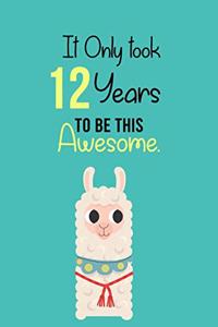 It Only Took 12 Years to be this Awesome