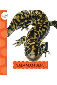 Salamanders