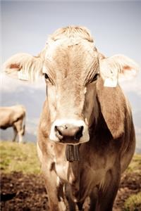 Tyrol notebook - achieve your goals, perfect 120 lined pages #3