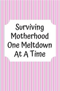 Surviving Motherhood One Meltdown At A Time