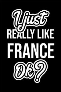 I Just Really Like France Ok?: Christmas Gift for France lover - Funny France Journal - Nice 2019 Christmas Present for France - 6x9inch 120 pages