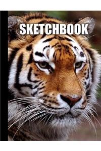 Sketchbook