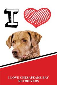 I Love Chesapeake Bay Retrievers