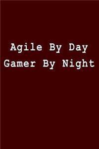 Agile by Day Gamer by Night