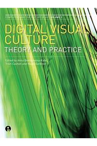 Digital Visual Culture