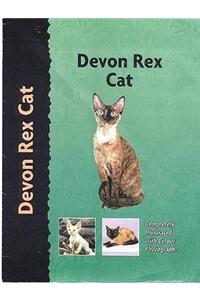Devon Rex Cat