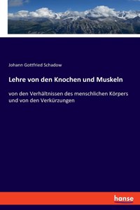 Lehre von den Knochen und Muskeln: von den Verhältnissen des menschlichen Körpers und von den Verkürzungen