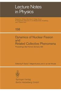 Dynamics of Nuclear Fission and Related Collective Phenomena