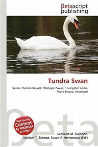 Tundra Swan