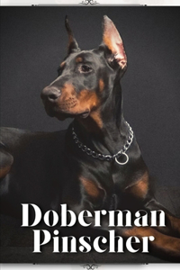 Doberman Pinscher
