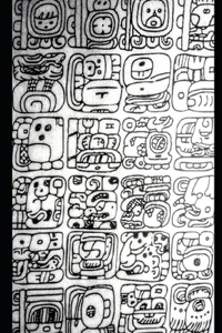 A Comparison of Four Mayan Languages
