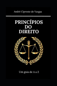 Princípios Do Direito