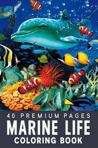 Marine Life Coloring Book: Funny Coloring Book With 40 Images For Kids of all ages.