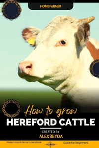 Hereford Cattle