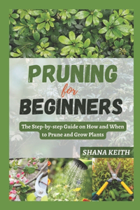 Pruning for Beginners