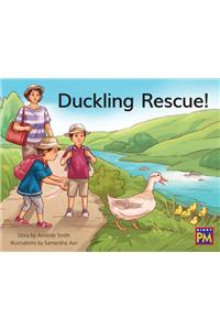 Duckling Rescue