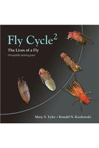 Fly Cycle 2