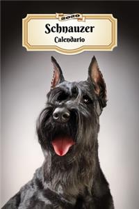 2020 Schnauzer Calendario