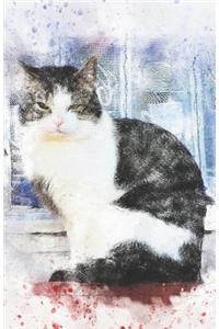 2019-2020 Academic Planner Weekly and Monthly Mellow Cat