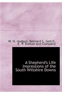 A Shepherd's Life Impressions of the South Wiltshire Downs