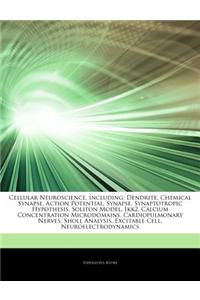 Articles on Cellular Neuroscience, Including