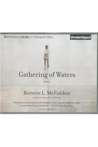 Gathering of Waters