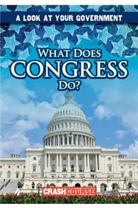 What Does Congress Do?
