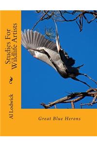 Great Blue Herons: Studies For Wildlife Artists