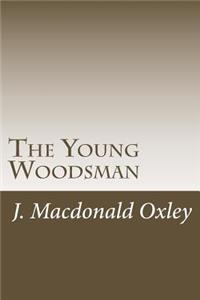 Young Woodsman
