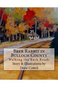 Brer Rabbit in Bulloch County