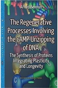 Regenerative Processes Involving the cAMP Unzipping of DNA